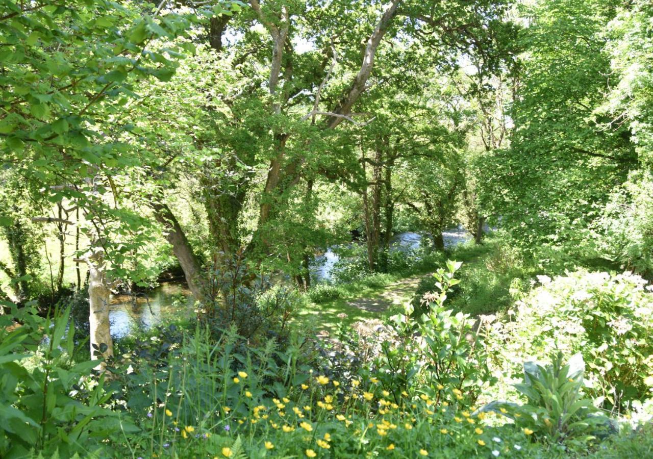 River Lodge - Cornwall Cardinham Dış mekan fotoğraf