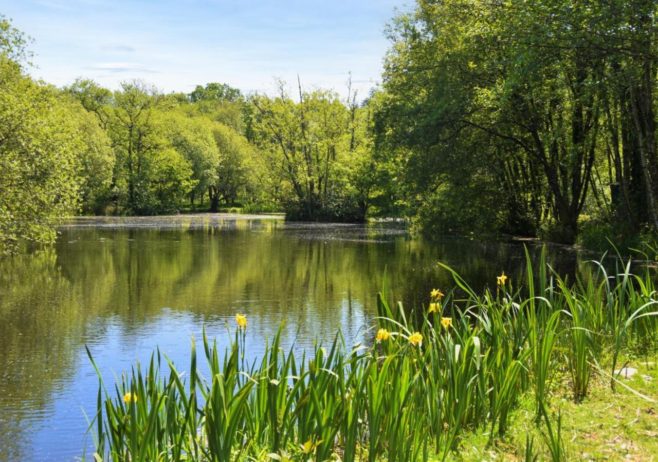 River Lodge - Cornwall Cardinham Dış mekan fotoğraf