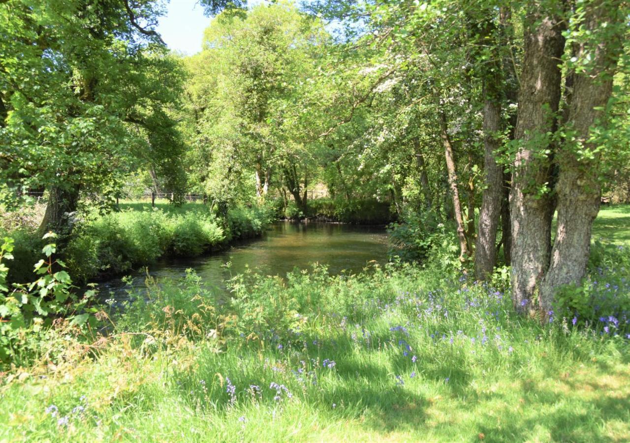 River Lodge - Cornwall Cardinham Dış mekan fotoğraf