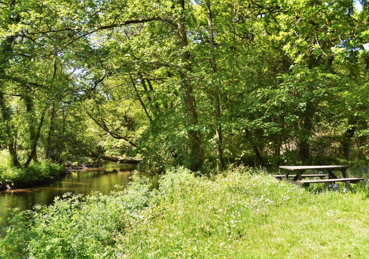 River Lodge - Cornwall Cardinham Dış mekan fotoğraf